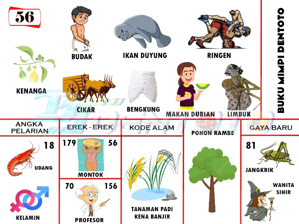 buku mimpi erek erek togel 56